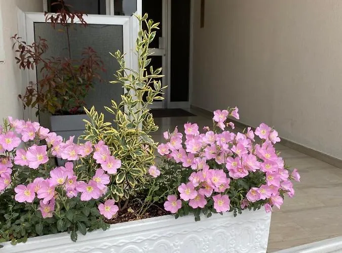 Meteora B Apartament Kalambaka